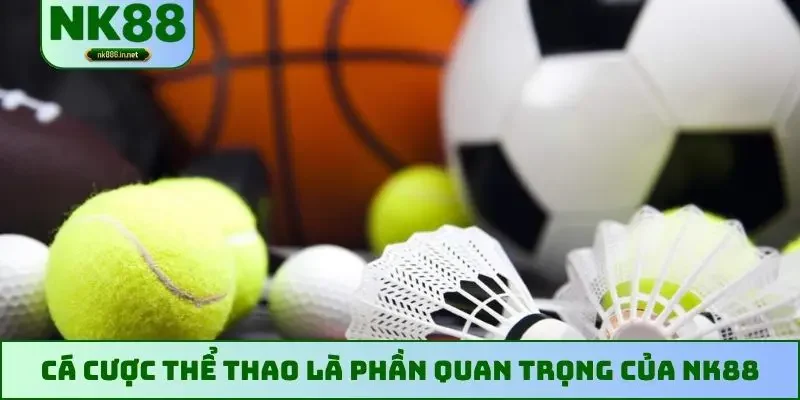 Cá cược thể thao là phần quan trọng của NK88