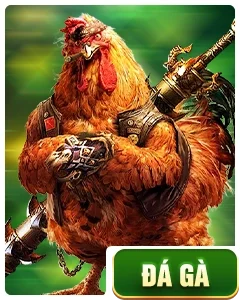 Đá gà
